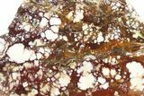 Polished Wild Horse Magnesite Slab - Arizona #264003-1